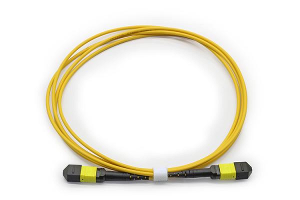 8 Cores 12 Cores 24 Cores MPO MTP Fiber Optic Patchcord OS2 Yellow TypeB LSZH