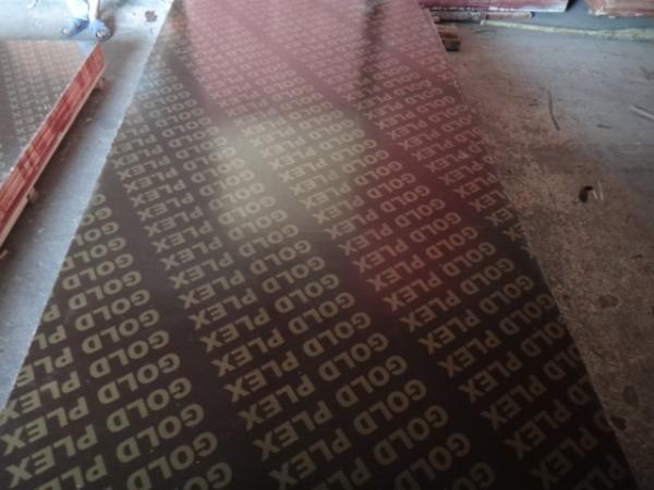 Phenolic film faced plywood,dynea film faced plywood,plastic film faced plywood
