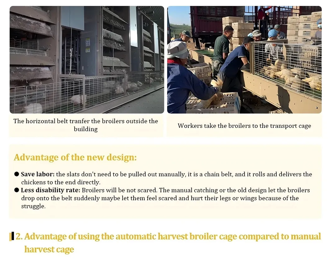 Automatic Chain Type Broiler Cage Equipment Chicken Harvest Cage For Poultry Farming