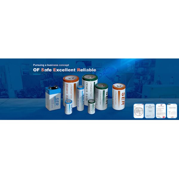 ER321270S LISOCL2 Primary Battery