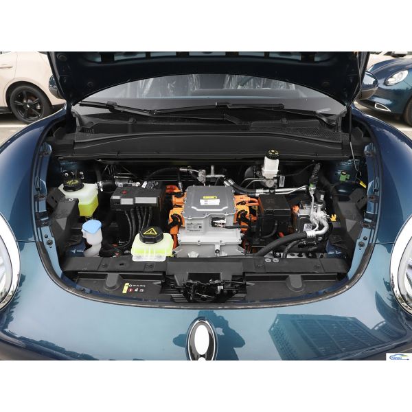 401km Range 2024 Ora Good Cat EV Hatchback Passenger Car for Electric Vehicle Market