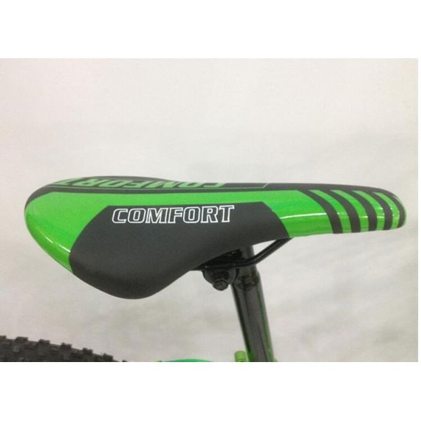 Private Label Snow Sand 4.0 Fat Tyre Electric Bicycle