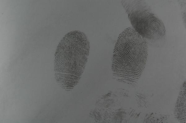 C095 Gray fingerprint powder