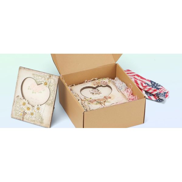 Brown Corrugated Cardboard Literature Mailer Box For Packaging, Mailing, Business Mailing Packing Literature Mailer