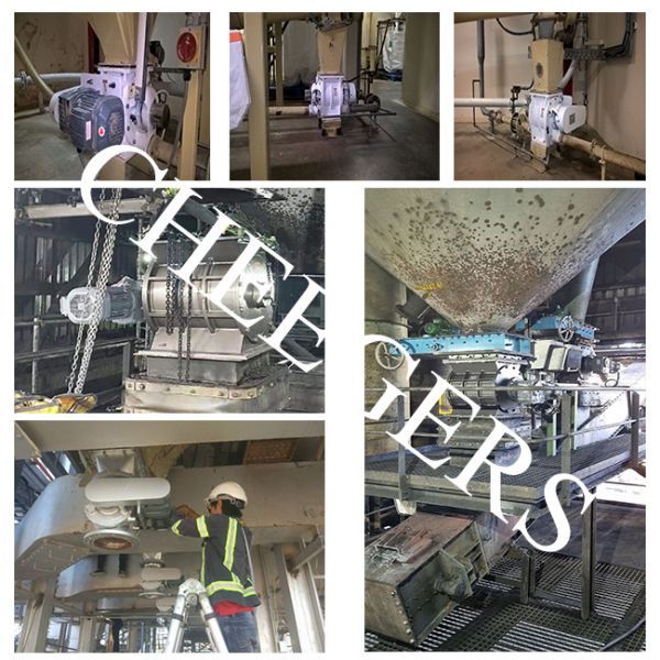 Carrot Pomace Sanitary Rotary Valve 500x500mm SKF Bearing