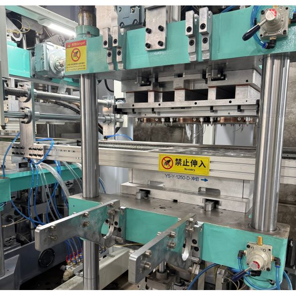 High-Speed Cake Tray and Egg Box Making Machine, Multi-Station Automatic Blister Thermoforming Machine for Bakery & Agriculture Food Packaging