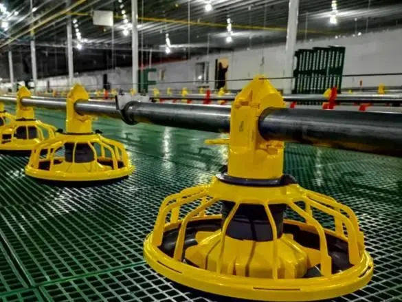256 Unit Capacity Automatic Poultry Farming Equipment with Hot-DIP Galvanized Steel and Automatic Feeding System