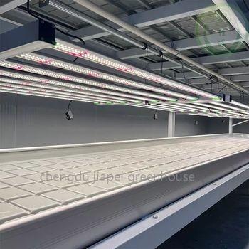 High Tunnel Greenhouse Black Out Greenhouse With Span Size 26feet 28feet 30ft