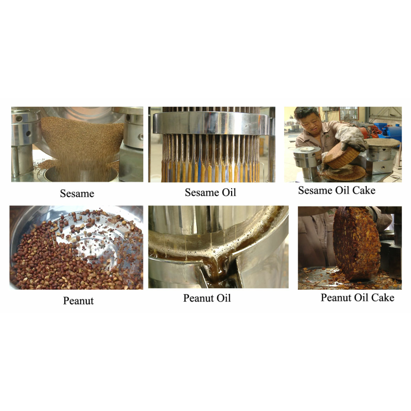 Farms Customized Hydraulic Cocoa Butter Walnut Sesame Oil Extraction Machine for Oil Pressing
