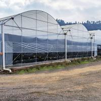 Estufa alta vegetal de rolamento do grande período da hidroponia da armação de aço da estufa do túnel do banco