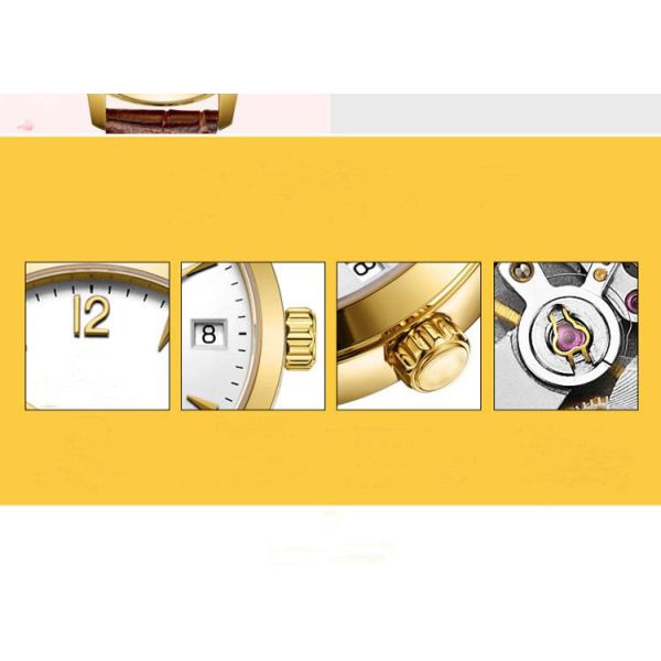 IP Gold Stainless Steel Automatic Watch With Transparent Back Screw SS Crown