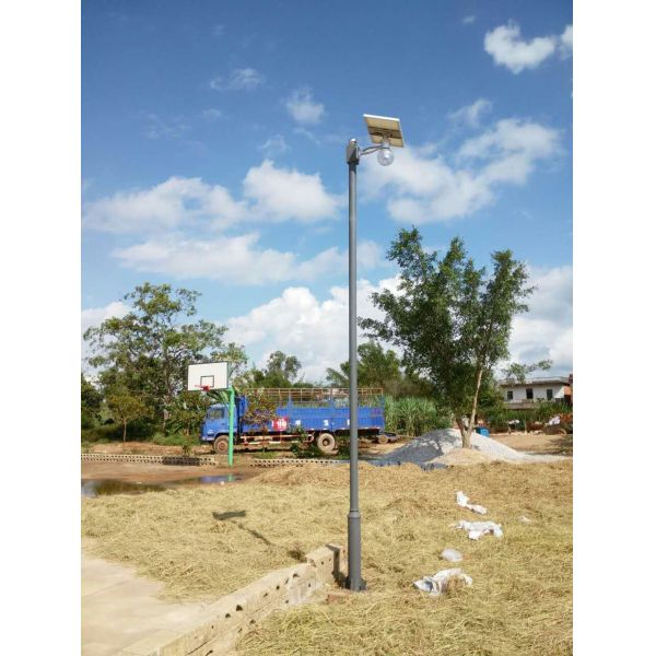 8W/12W Solar LED Garden Lights 160lm/w 3000-6500K With Microwave Motion Sensor