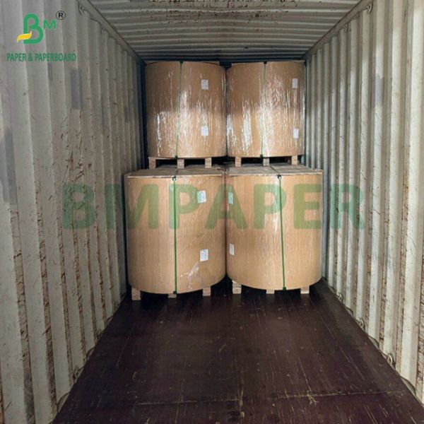 100% Food Safety 325gram 360gram Coated Recycled Paperboard For Making Lunch Box  100% безопасность пищевых продуктов 325 грамм 360 граммов покрытый переработанный картон для приготовления коробки для обеда
