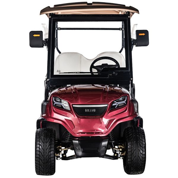 Comfortable 2 Seat Electric Golf Cart Buggy with Front Disc and Rear Drum Brake System