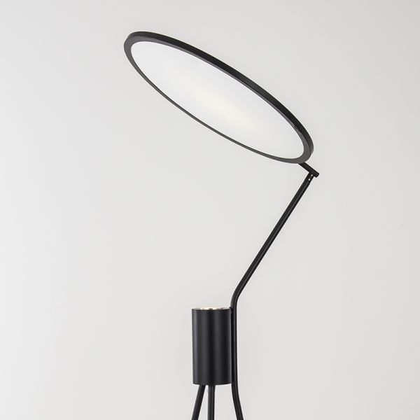 Nordic Floor Lamp Led Modern Iron Tripod Floor Lamps For Living Room Bedroom Study Floor lamp(WH-MFL-78)