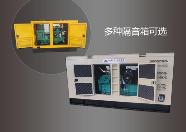 Industrial Kta50-G3 Engine Cummins Diesel Generators 1000kw 1250kVA