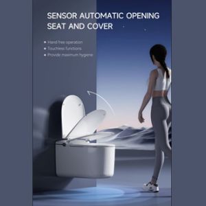 Produits sanitaires modernes Smart Wall Hang Toilet avec fonction de lavage bidet Pour l'hôtel