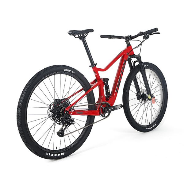 горный велосипед подвеса волокна углерода 29er полный с автошиной MAXXIS