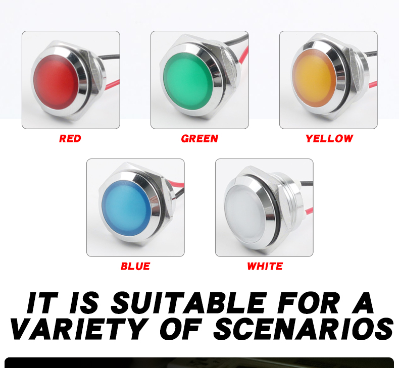 22mm IP66 Waterproof Metal Power Indicator Light Flat Head LED Panel Light 12-24V/220V 50000 Hours Lifespan Multi-Color Options