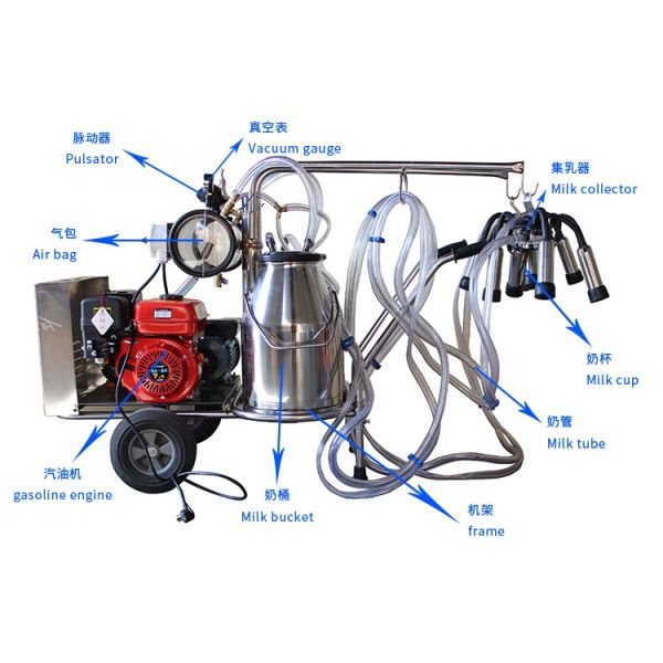 Gas Pulsation 1.1KW Electric Goat Milking Machine With Removble Bucket