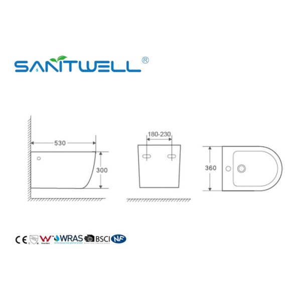 Bathroom Sanitary Ware Wall Hung Bidet Self Cleaning Fashionable Design