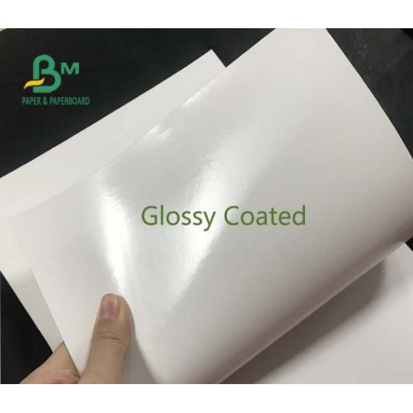Food Grade 210 / 230g + 15g Poly Coated White Cup Stock Paper Board Rolls For Cup Paper Bowl Paper