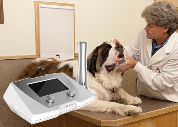 ESWT Equine Shockwave Machine 1HZ - 22HZ Shockwave Machine For Vet Clinic