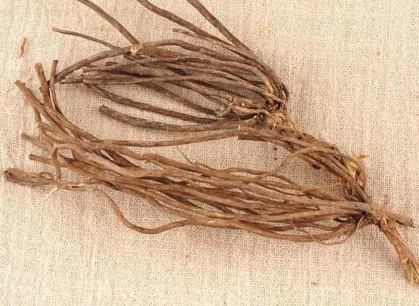 Pungent Taste Traditional Chinese Herbs , Dried Clematis For Eliminate Rheumatism