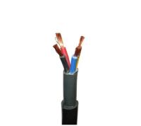 alambre de acero protegido 300/500V del cable de instrumento cualquier aislamiento del color XLPE