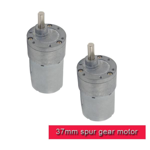 Offset Shaft DC Spur Gear Motor High Torque Mini 12v 24v 24v DC Motor With Gearbox