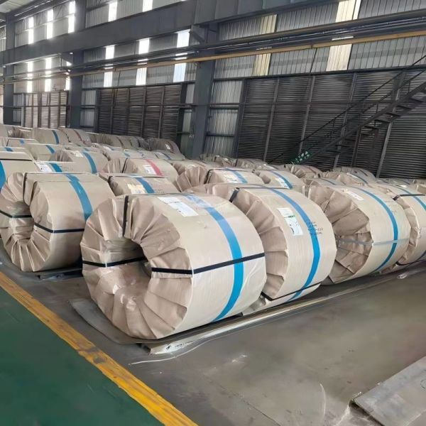 201 8K Окончательный спираль из нержавеющей стали для обычных декоративных приборов