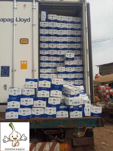 Garlic to Senegal with 10kg carton box.Normal white garlic export.