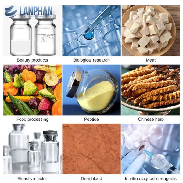 Laboratory Freeze Dryer Vacuum Drying Machine For Biological Pharmaceutical Food Product Formulation