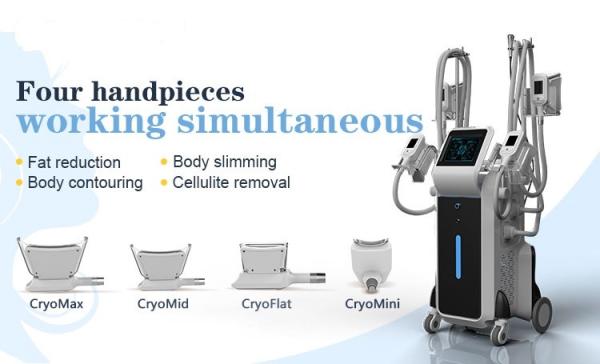 Trade assurance! cryolipolysis fast slimming equipment cool sculpting fat freezing machine