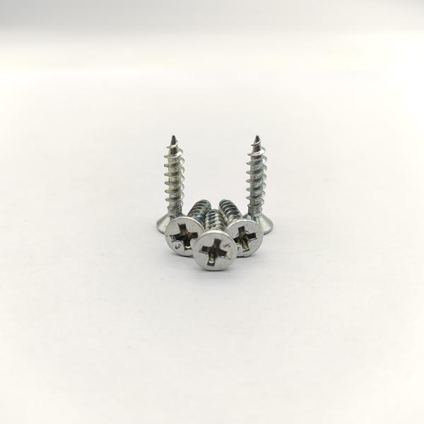 304 SS Phillips Flat Head Self-Tapping Screws Rust Proof Outdoor & Marine Use/ A2-70 