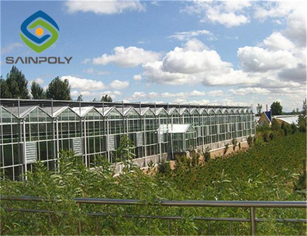 Span 9m Commercial Glass Greenhouse Hot Digged Galvanized Steel
