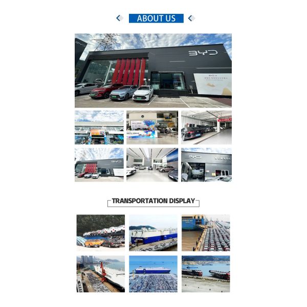 Быстрая доставка 2023 Взрослый 320 км Geely Geometry E Firefly Электрический автомобиль с сенсорным экраном