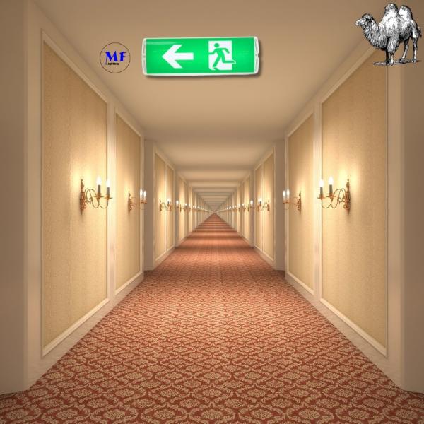 5W Green White IP65 SMD2835 LED Emergency Exit Light Escape Light for Train Station Factory Airport