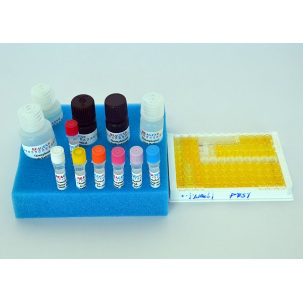 0.05ppb Чувствительность Boldenone ELISA Test Kit Свободные образцы 96 Размер теста
