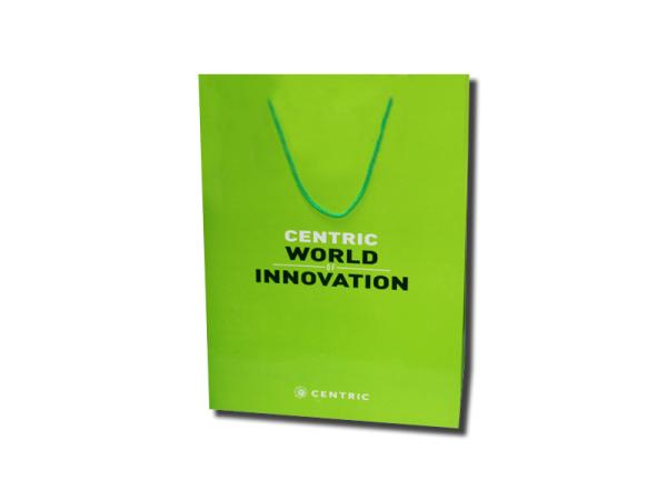 Green Colors Custom Printing Paper Bags With Recycled Paper Bag OPP Rope Handle