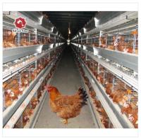le poulet de couche de batterie de 45x41x50 cm mettent en cage la couleur argentée galvanisée à chaud