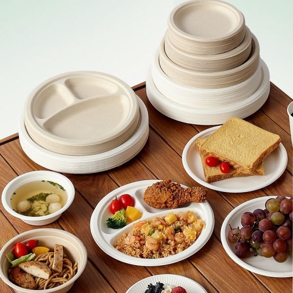 Eco-Friendly Biodegradable Paper Pulp Plate for Disposable and Smooth Edge Containers