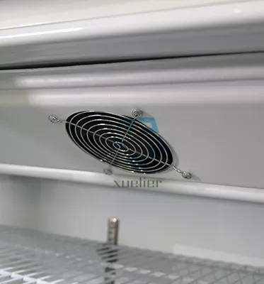 Double Door Pepsi Glass Door Refrigerator Upright Display Fridge Beer cooler