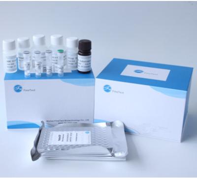Metalloproteinase humano 2 ELISA Kit For Reaserch da matriz MMP2