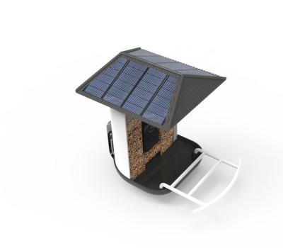 O AI reconhece o alimentador esperto do pássaro da câmera do pássaro com painel solar