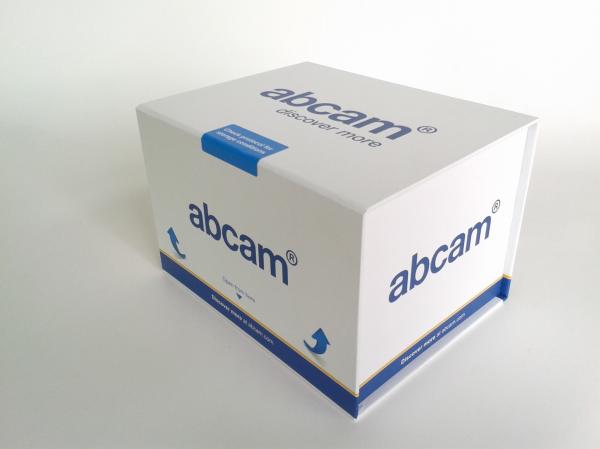 Fashion Coated Paper Board Box, Rectangle Printed Rigid Gift Boxes For With Custom Logo