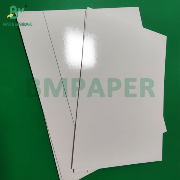 300 g de bandeja laminada de PET de calidad alimentaria, papel de recubrimiento, rollos de papel de 635 mm de alta temperatura