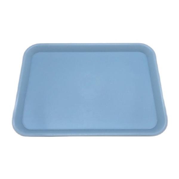 Autoclavable Dental Plastic Flat Trays Instrument Tools Tray 340x240mm High Quality Plastic Instrument Tray