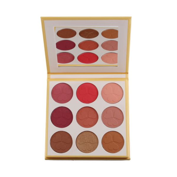 Макияж стороны 9 цветов штейновый краснеет метка частного назначения плит заряжа