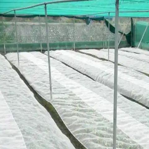 10x50m Plastic Insect Mesh Cover For Plant And Fruit Tree Net Cover